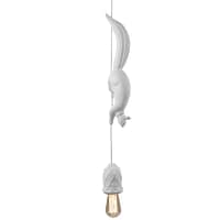 cortess_karman_sherwooderobin_6