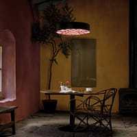 cortess_lzf_spiro_palerose-kopie