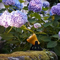 cortess_martinelliluce_minifrog_3