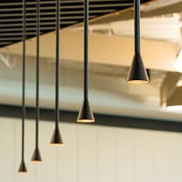 cortess_trizo21_austeresolitaire_