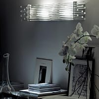 cortess_vistosi_diadema_8