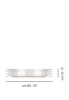 cortess_vistosi_diadema_afmetingen cortess_vistosi_diadema_afmetingen
