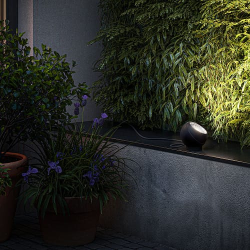 cortess_ip44_shot_1 cortess_ip44_shot_1