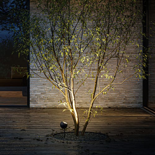 cortess_ip44_shot_3 cortess_ip44_shot_3